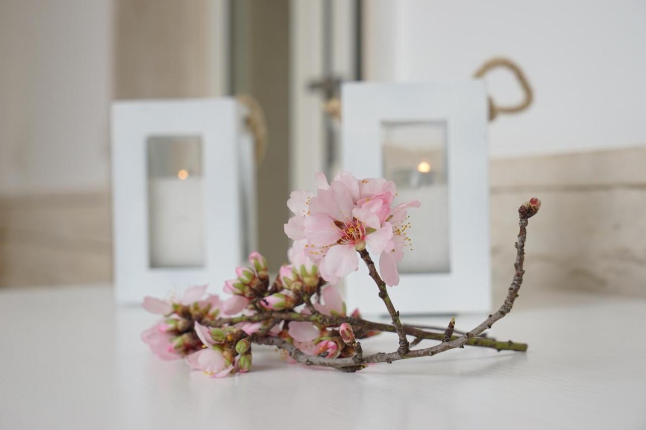FEMily B&B Bed&Breakfast di Puglia in - Bari Grumo Appula Exterior foto