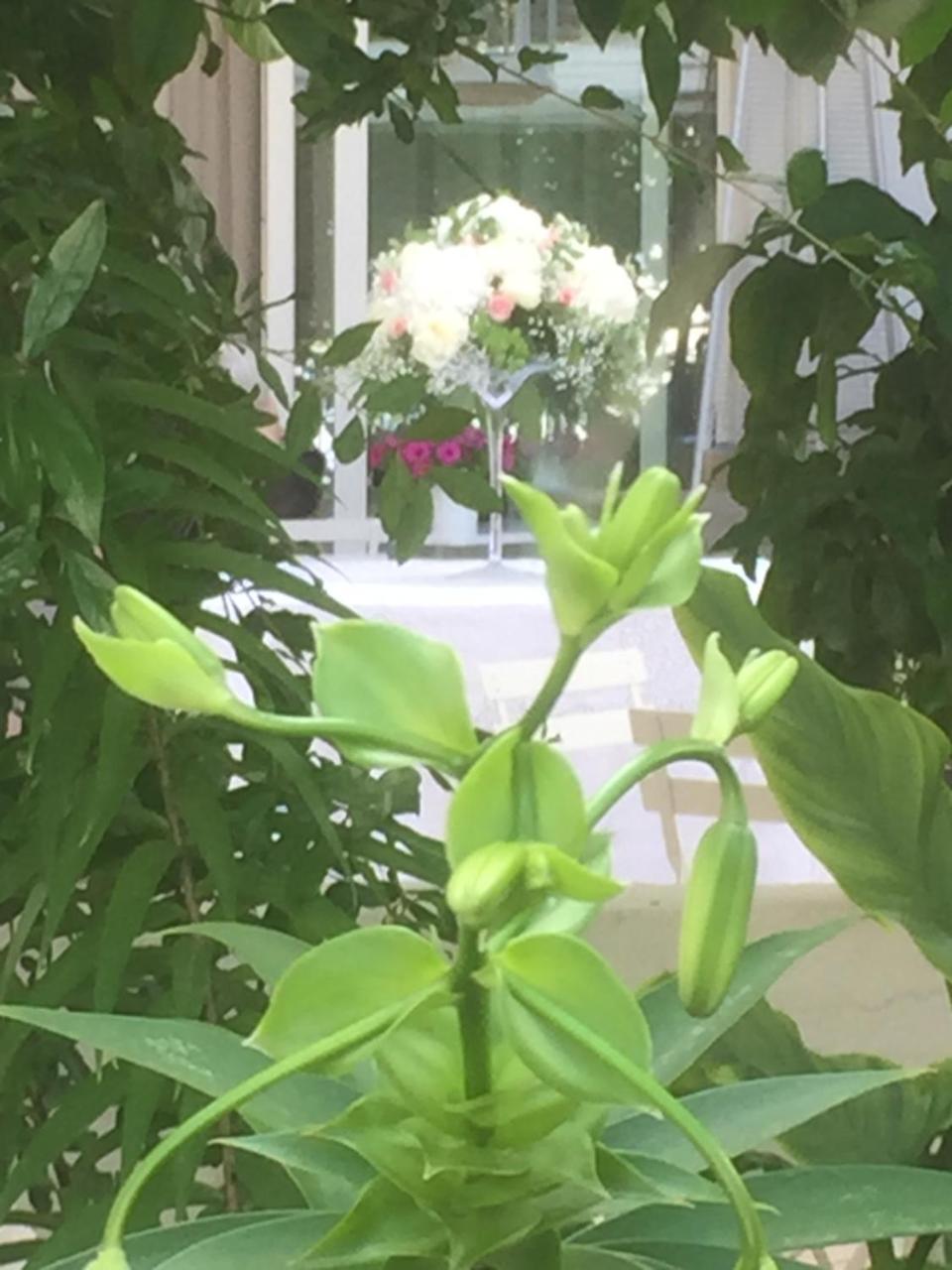 FEMily B&B Bed&Breakfast di Puglia in - Bari Grumo Appula Exterior foto